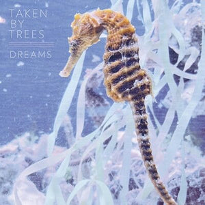 Golden Discs VINYL Dreams - Taken By Trees [VINYL]