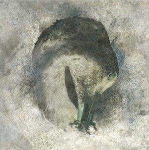 Golden Discs CD Ashes:   - Suma [CD]