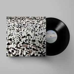 Golden Discs VINYL Flood - Stella Donnelly [VINYL]
