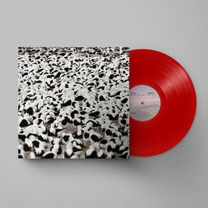 Golden Discs VINYL Flood - Stella Donnelly [VINYL Limited Edition]