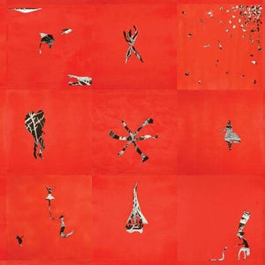 Golden Discs VINYL Hollinndagain - Animal Collective [VINYL]