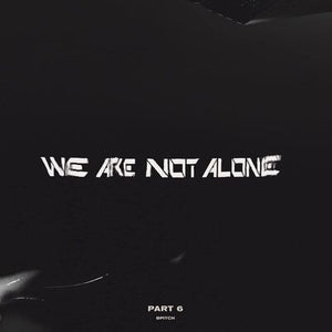 We Are Not Alone: Part 6 - Various Artists [VINYL]