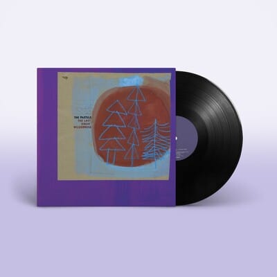 Golden Discs VINYL The Last Great Wilderness - The Pastels [VINYL]