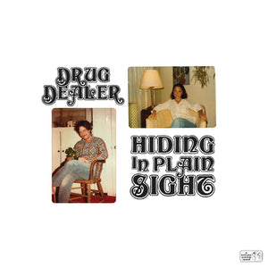 Hiding in Plain Sight - Drugdealer [CD]