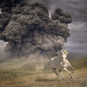 Golden Discs CD Year of the Dark Horse - The White Buffalo [CD]