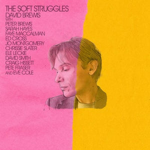 Golden Discs CD The Soft Struggles - David Brewis [CD]