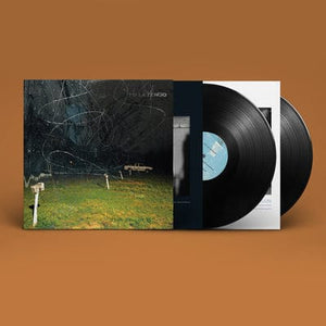 Golden Discs VINYL This Stupid World - Yo La Tengo [VINYL]