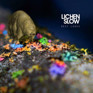 Golden Discs VINYL Rest Lurks - Lichen Slow [VINYL Limited Edition]