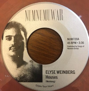 Golden Discs VINYL Houses - Elyse Weinberg & Dinosaur Jr. [VINYL]