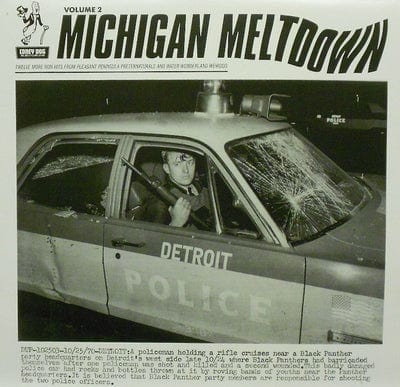 Golden Discs VINYL Michigan Meltdown Vol. 2: Twelve More Non-hits from Pleasant Peninsula Preternaturals - Various Artists [VINYL]