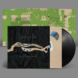 Golden Discs VINYL Spirit They've Gone, Spirit They've Vanisheds - Animal Collective [VINYL]