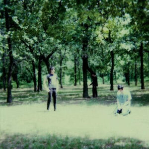Golden Discs VINYL III - The Fucking Champs [VINYL]