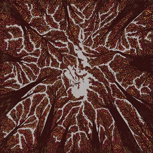 Golden Discs VINYL Crown Shyness - Trash Boat [VINYL]