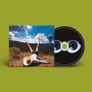 Golden Discs CD 3D Country - Geese [CD]