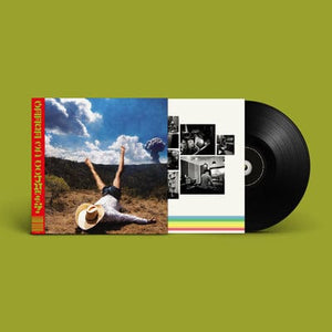 Golden Discs VINYL 3D Country - Geese [VINYL]