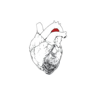 Golden Discs CD The Beggar - Swans [CD]