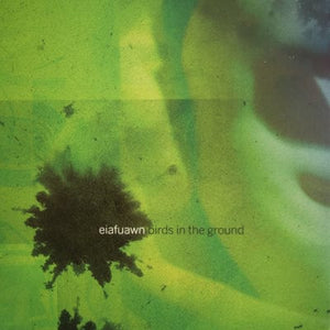 Golden Discs VINYL Birds in the Ground - Eiafuawn [VINYL]