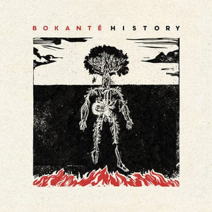 Golden Discs VINYL History - Bokanté [VINYL]