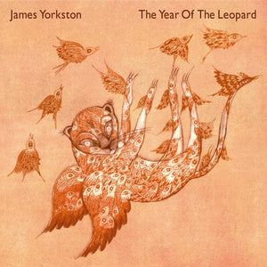 Golden Discs VINYL The Year of the Leopard - James Yorkston [VINYL]