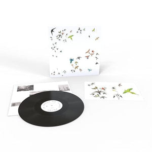 Golden Discs VINYL No Fixed Point in Space - Modern Nature [VINYL]