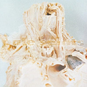 Golden Discs VINYL In Ribbons - Pale Saints [VINYL]