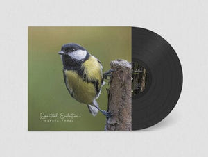 Golden Discs VINYL Spectral Evolution - Rafael Toral [VINYL]