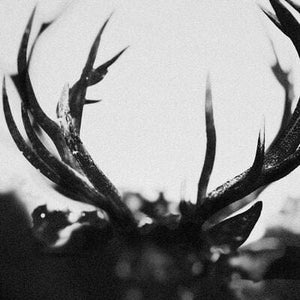 Golden Discs CD IHSAHN (Orchestral Version) - Ihsahn [CD]
