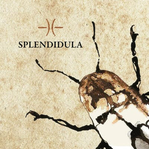 Golden Discs CD Splendidula - Splendidula [CD]
