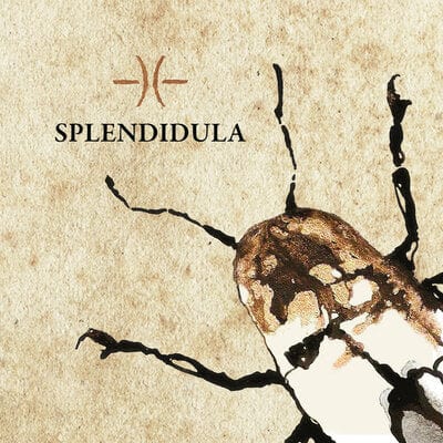 Golden Discs CD Splendidula - Splendidula [CD]