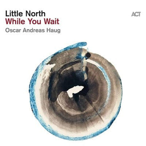 Golden Discs CD While You Wait - Little North [CD]