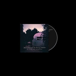 Golden Discs CD In Lieu of Flowers - Aaron West and the Roaring Twenties [CD]
