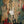 Golden Discs VINYL Post Traumatic (Deluxe 2LP Edition) - Mike Shinoda [VINYL]