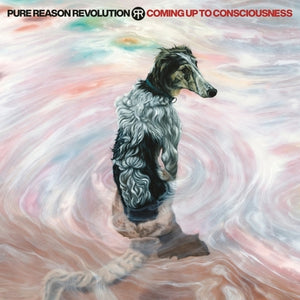Coming Up to Consciousness - Pure Reason Revolution [CD]