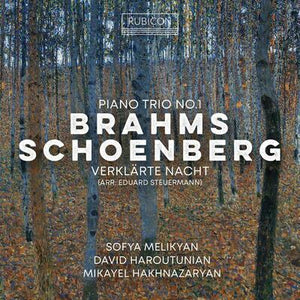Brahms: Piano Trio No. 1/Schoenberg: Verklärte Nacht - Johannes Brahms [CD]