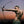 Polari (Limited Edition) - Olly Alexander [Colour Vinyl]