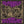 Fillmore East 1968 (Rhino Rocktober 2024) - Iron Butterfly [VINYL]