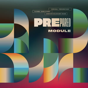 Module - Prepared [VINYL]