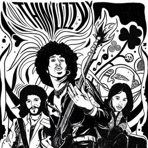 The Acoustic Sessions - Thin Lizzy [CD]