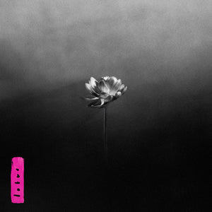 Lotus (Electric Pink Edition) - Little Simz [Colour Vinyl]