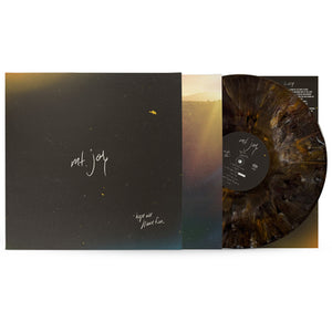 Hope We Have Fun - Mt. Joy [VINYL]