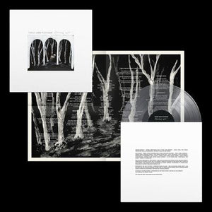 Crooked Wing - These New Puritans [VINYL]