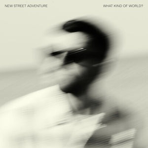 What Kind of World? - New Street Adventure [CD]