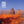 Given to the Wild - The Maccabees [Colour Vinyl]