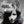 Eye to the Telescope (20th Anniversary Reissue) - KT Tunstall [VINYL]