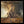 Quarantième: Live À Paris - Dream Theater [CD]