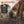 Black Sabbath (Deluxe Edition) - Black Sabbath [CD]