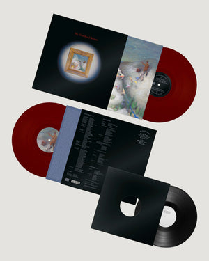 My New Band Believe - My New Band Believe [VINYL]
