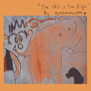 The Sky Is Too High - Graham Coxon [CD]