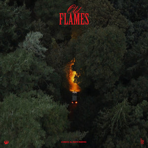 Old Flames - La Roux [VINYL]