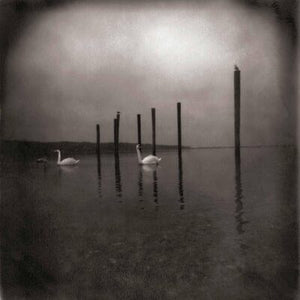 Conference of the Birds - Om [VINYL]
